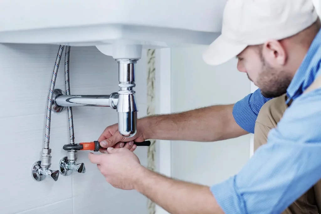 rénovation sanitaire